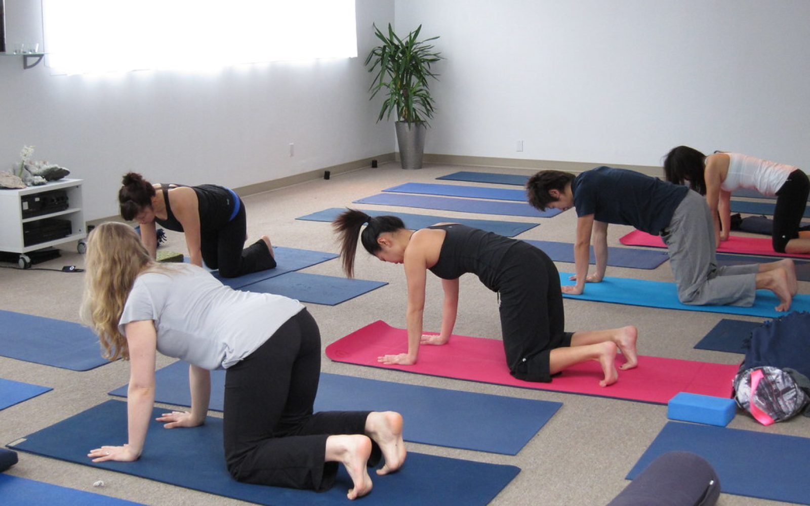 Hatha yoga in Japanese @ Semperviva