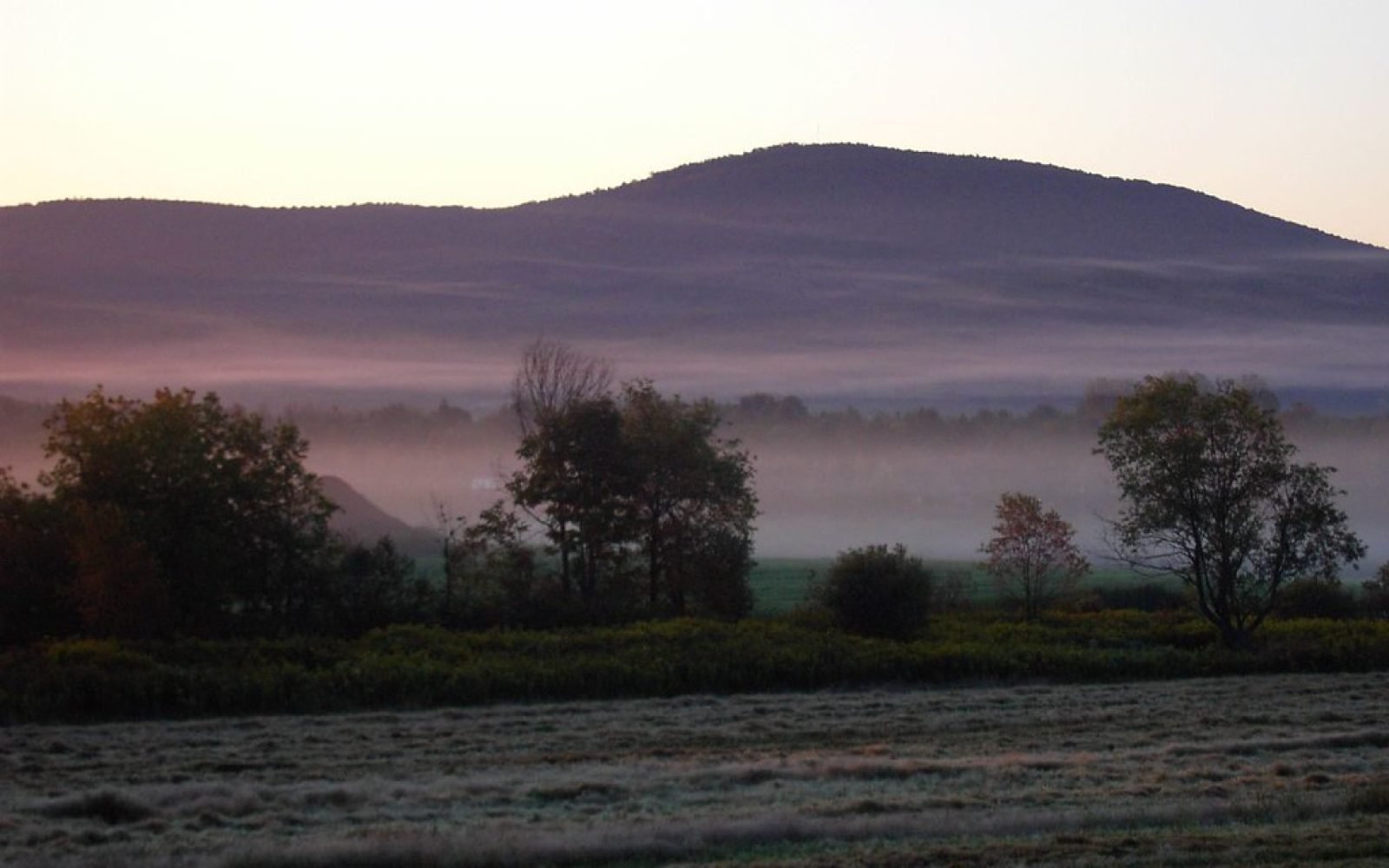 Mist settles over the Himalayan foothills at dawn, the hills rising softly beyond a line of trees.