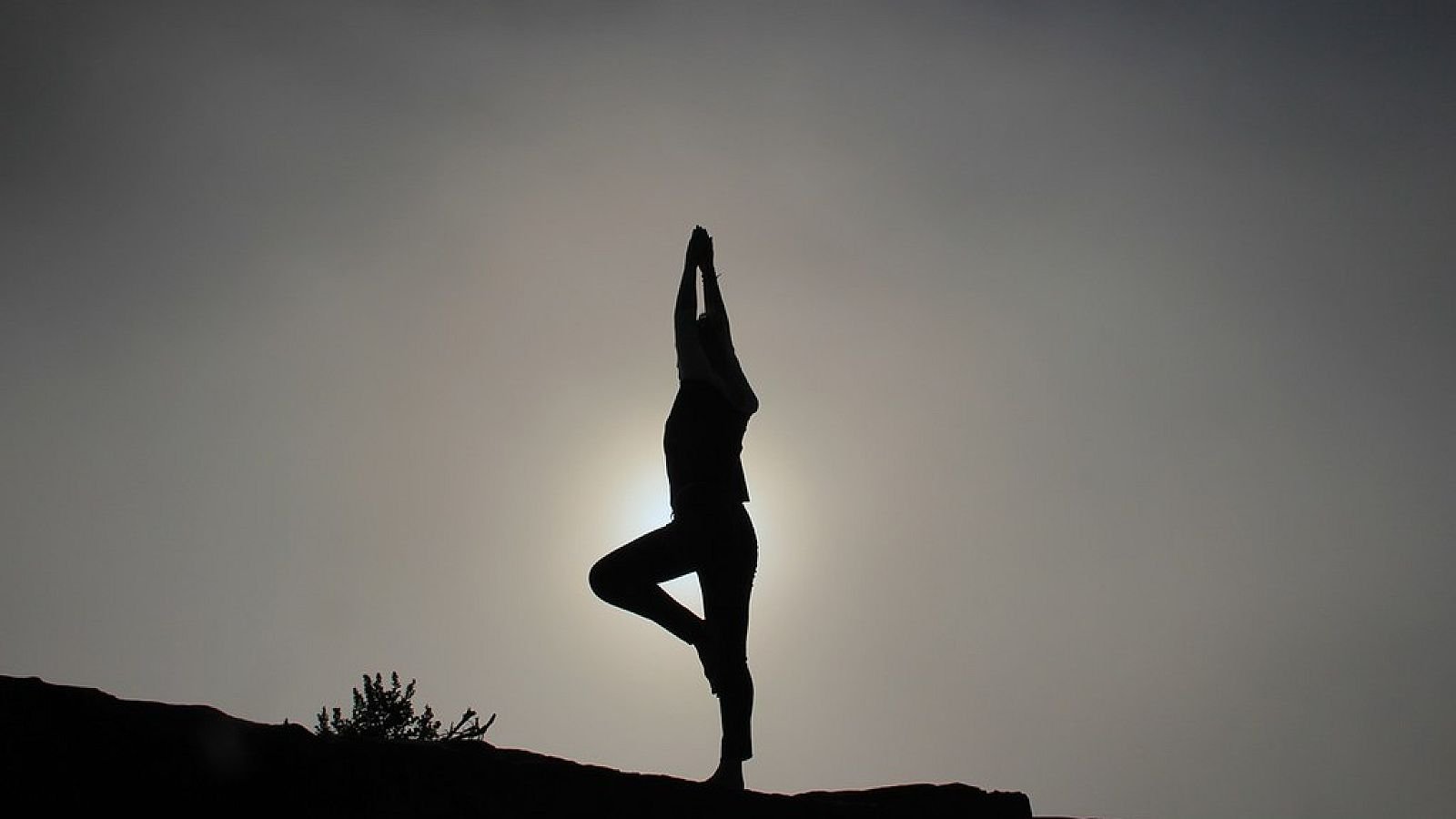 Tree pose at sunrise